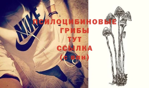 прущие крисы Аркадак